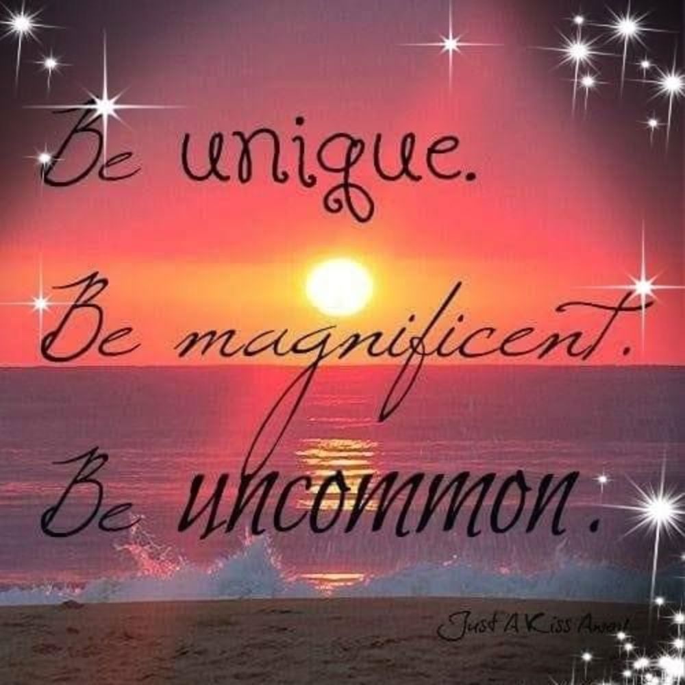 Meet your Posher, Lesa